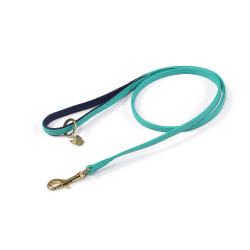 Shires Digby & Fox gewatteerde lederen hondenriem Aqua Blauw