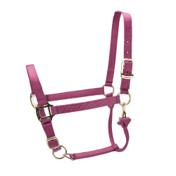 Verstelbaar halster Premium Shires Arma Bordeaux Verstelbaar halster Premium Shires Arma Bordeaux