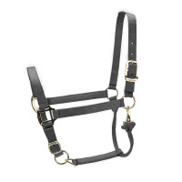 Verstelbaar halster Premium Shires Arma Zwart