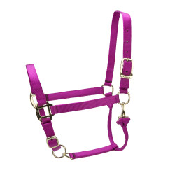 Verstelbaar halster Premium Shires Arma Framboos Rood Verstelbaar halster Premium Shires Arma Framboos Rood