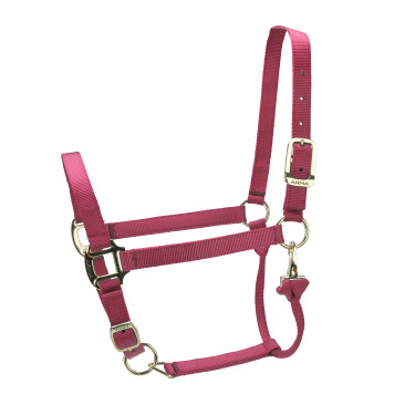 Verstelbaar halster Premium Shires Arma Rood Verstelbaar halster Premium Shires Arma Rood