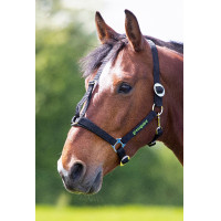 Shires Greenguard halster Zwart