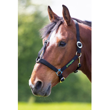 Shires Greenguard halster Zwart