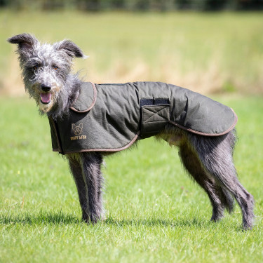 Gewaxte jas voor windhond Shires Digby & Fox Olijfkleurig Groen