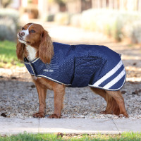 Lichte waterdichte hondenjas Shires Digby & Fox Marine Marineblauw