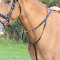 Shires Velociti Gara ringmartingaal Zwart