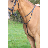 Shires Velociti Gara ringmartingaal Zwart