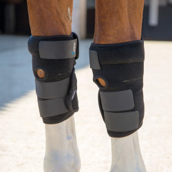Vervangende ijspack voor 2005 Shires Zwart