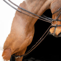 Elastische Duitse teugels Shires Velociti Gara Bruin