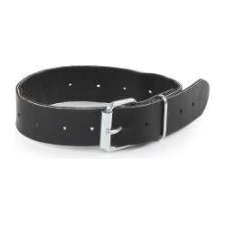 Vervangriem Shires Greenguard Zwart