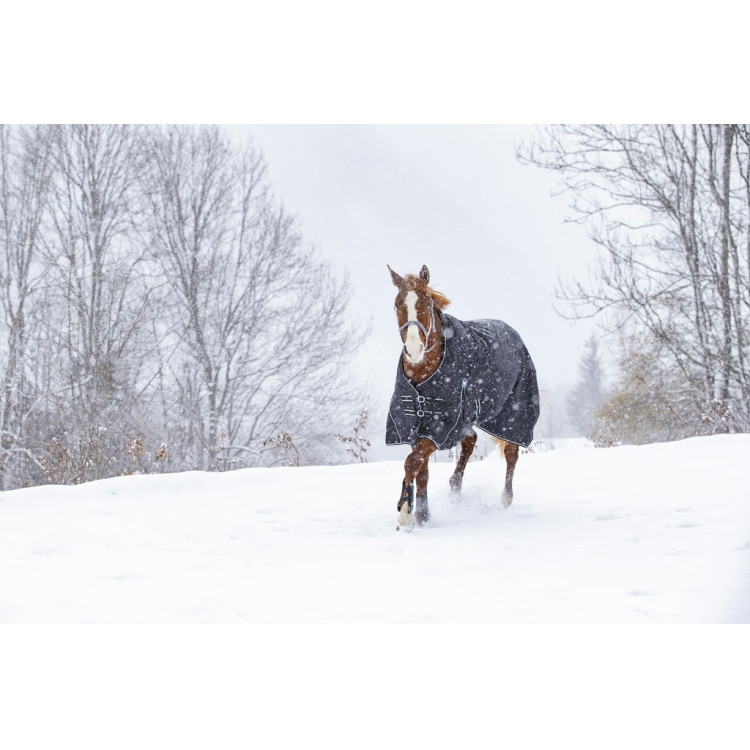 Waterdichte Oxford-deken Riding World Waterdichte Oxford-deken Riding World