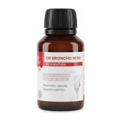 Of Broncho nebu Of vet Of Broncho nebu Of vet