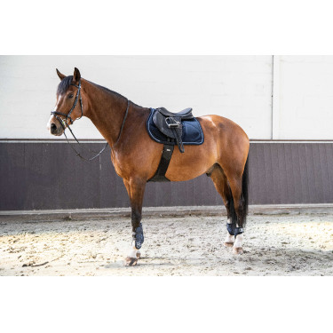 Zadelpad Lamicell V22 Picasso