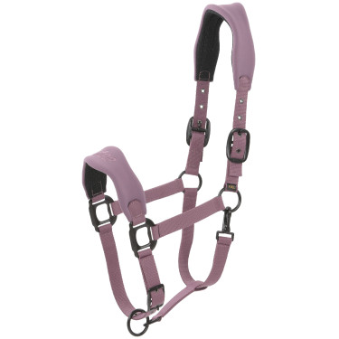 Halster Lamicell V22