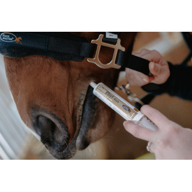 Seringue Dolophyt Flash Horse Master