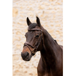 Hoofdstel K van Equithème K-Kontour