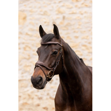 Hoofdstel K van Equithème K-Kontour