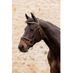 Hoofdstel K by Equithème K-Kapture Bruin Hoofdstel K by Equithème K-Kapture Bruin