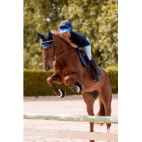 Hoofdstel K by Equithème K-Kapture Zwart Hoofdstel K by Equithème K-Kapture Zwart