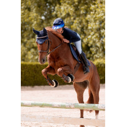 Hoofdstel K by Equithème K-Kapture Bruin Hoofdstel K by Equithème K-Kapture Bruin