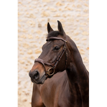 Hoofdstel K van EQUITHÈME - K-KADENCE