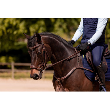 Hoofdstel K van EQUITHÈME - K-KADENCE