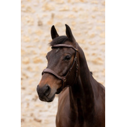 Hoofdstel K van Equithème K-Konnect