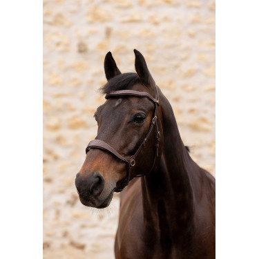 Hoofdstel K van Equithème K-Konnect