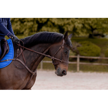 Hoofdstel K van Equithème K-Konnect