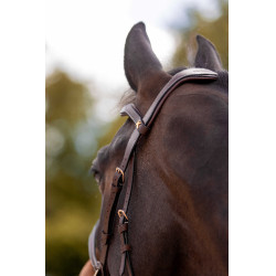 Hoofdstel K van Equithème K-Konnect