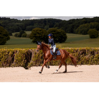 Lederen en rubberen teugels K by Equithème K-Grip
