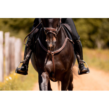 Borsttuig 3-punts K by Equithème K-Kontour