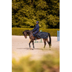 Nierstuk K van Equithème K-Embrun