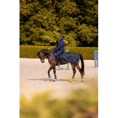 Nierstuk K van Equithème K-Embrun