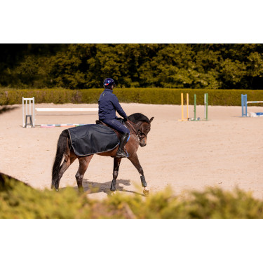 Nierstuk K van Equithème K-Embrun