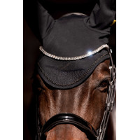 Hoofdstel K van Equithème K-Kurve
