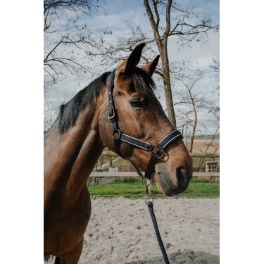 Halster + touw Equithème Coco