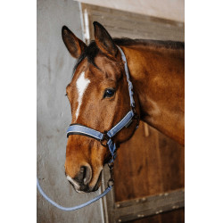 Halster + touw Equithème Coco
