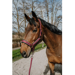 Halster + touw Equithème Coco