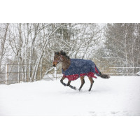 Equithème Tyrex 1200 D deken / Transparant Equithème Tyrex 1200 D deken / Transparant