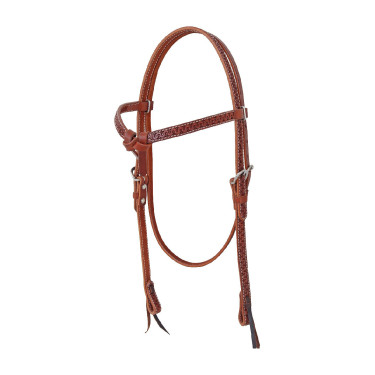 Western hoofdstel met slangenbewerking