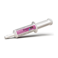 Electro Booster Horse Master