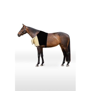 Schouderbeschermer Comfort Horze Zwart Schouderbeschermer Comfort Horze Zwart