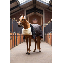 Schouderbeschermer Comfort Horze Zwart Schouderbeschermer Comfort Horze Zwart
