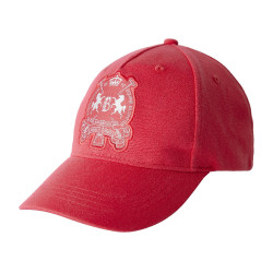 Pet Logo B Vertigo Rood roze berberis