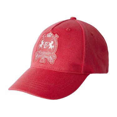 Pet Logo B Vertigo Rood roze berberis