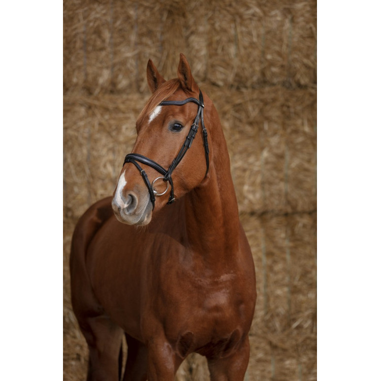 Bridon Norton Pro Parel Bridon Norton Pro Parel