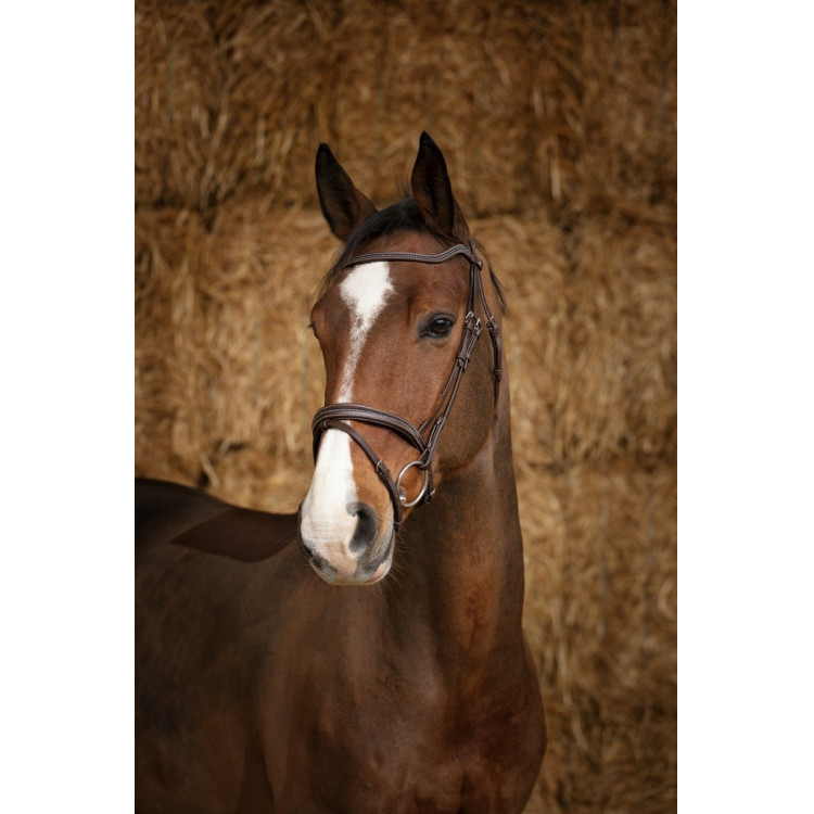 Bridon Norton Pro Parel Bridon Norton Pro Parel