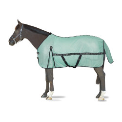 Vliegendeken Horze Paso Fino met UV-bescherming Groene beek
