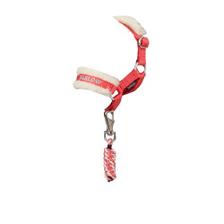 Speelgoed pony halster + longe Harlow Coral Crush | Ruitersport Speelgoed pony halster + longe Harlow Coral Crush | Ruitersport